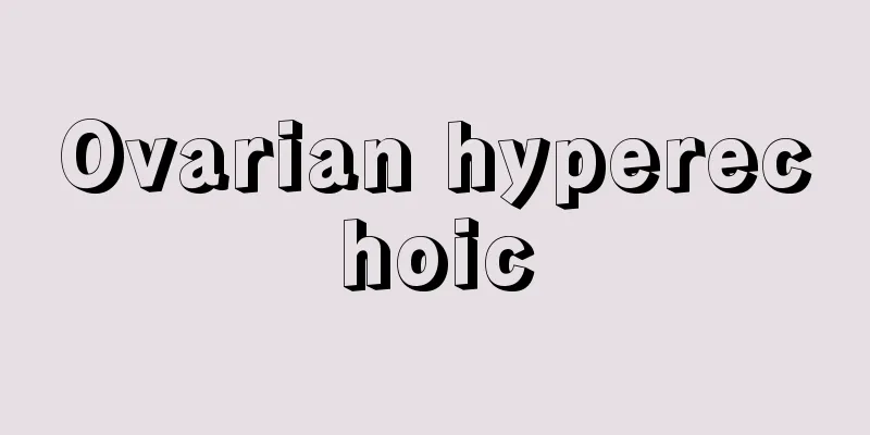 Ovarian hyperechoic