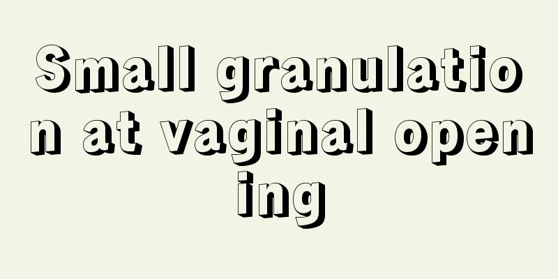 Small granulation at vaginal opening