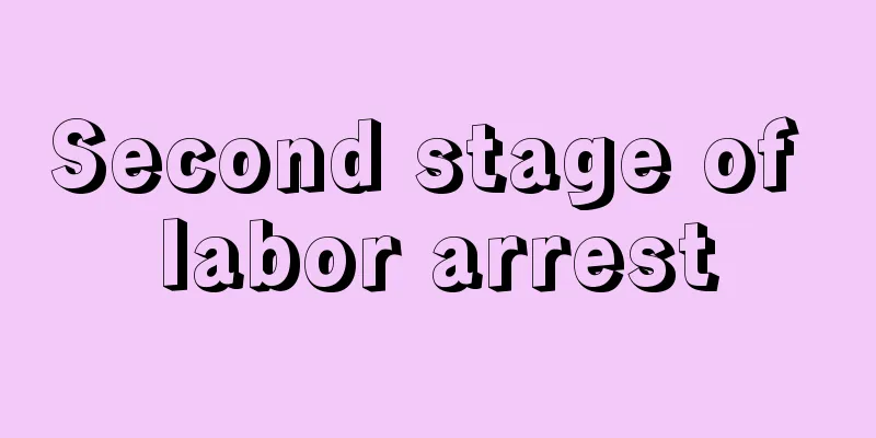 Second stage of labor arrest