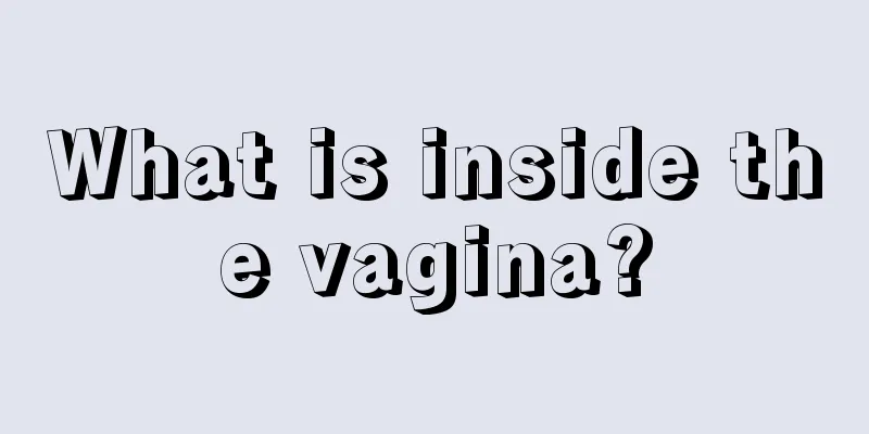 What is inside the vagina?