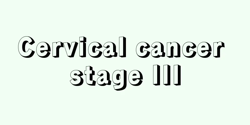 Cervical cancer stage III