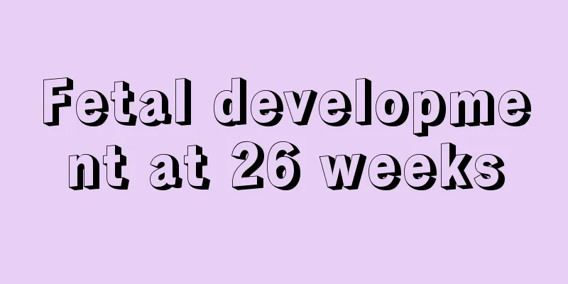 Fetal development at 26 weeks