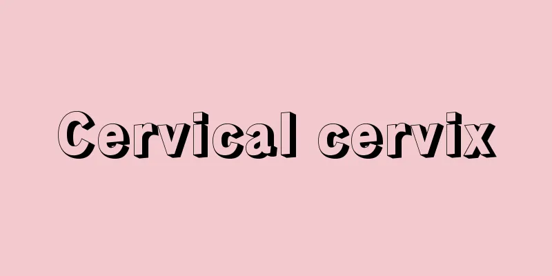 Cervical cervix