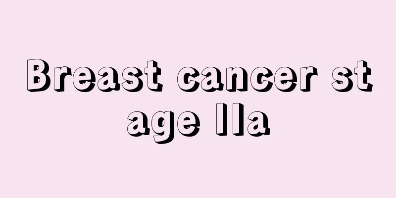 Breast cancer stage IIa