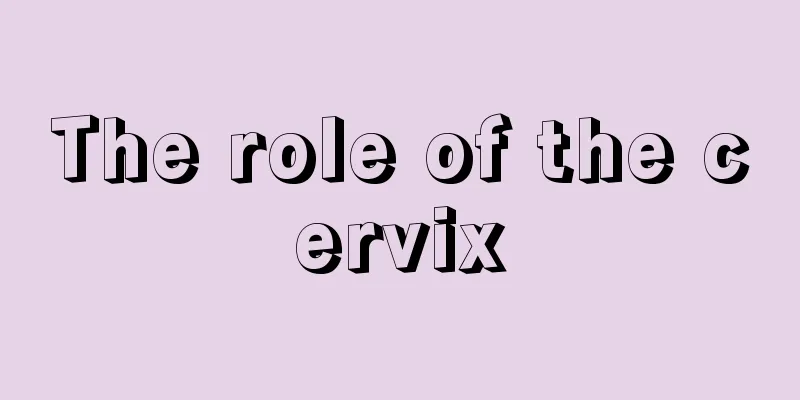 The role of the cervix