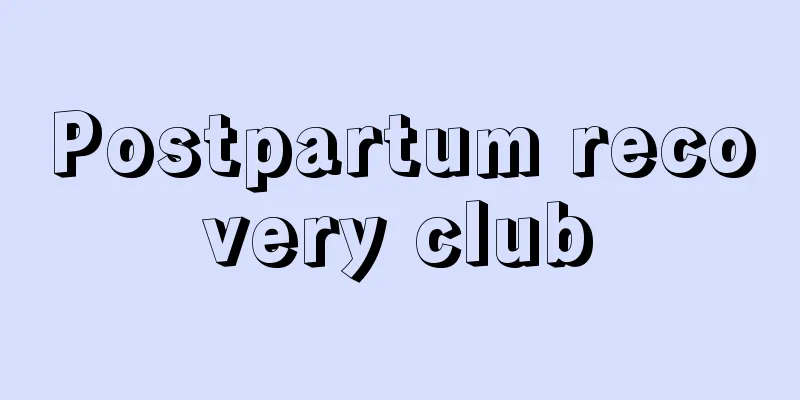 Postpartum recovery club