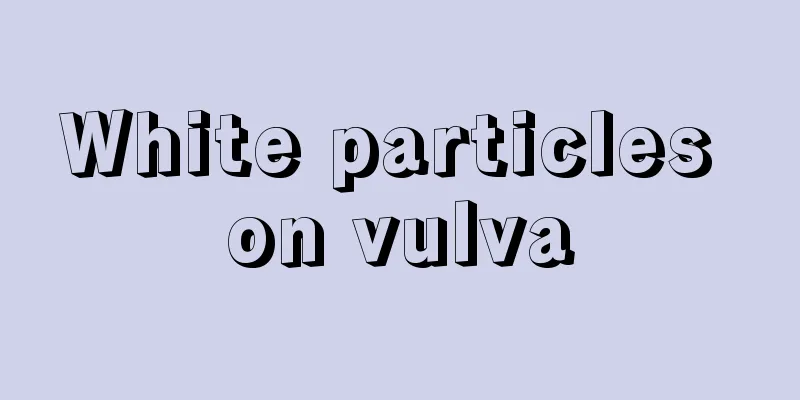 White particles on vulva