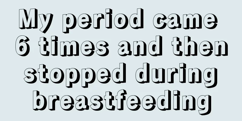 My period came 6 times and then stopped during breastfeeding