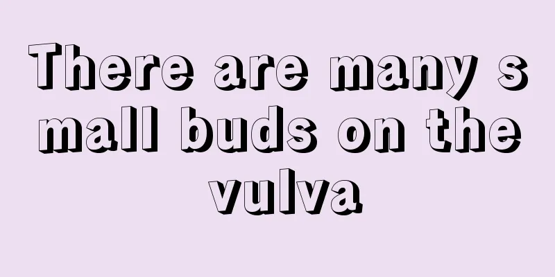 There are many small buds on the vulva