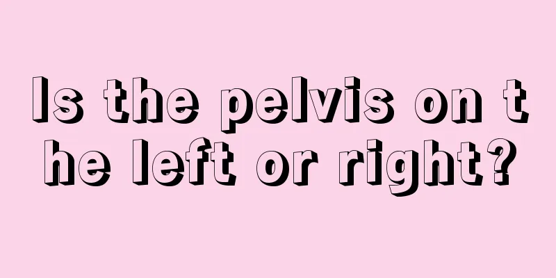 Is the pelvis on the left or right?