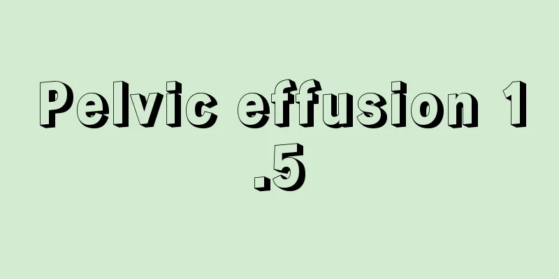 Pelvic effusion 1.5