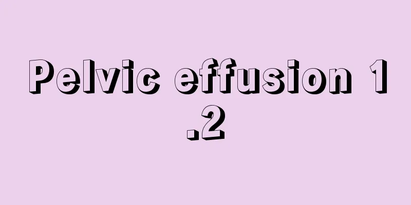 Pelvic effusion 1.2