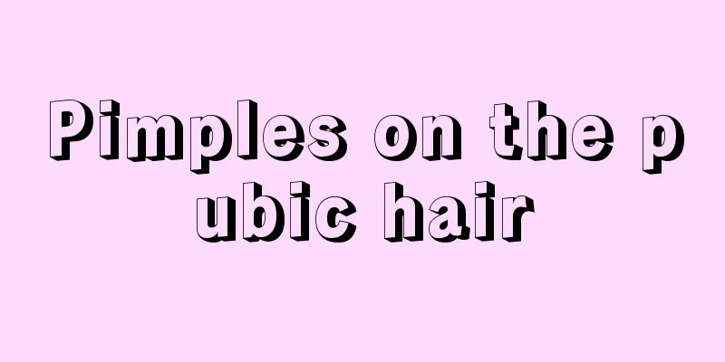 Pimples on the pubic hair