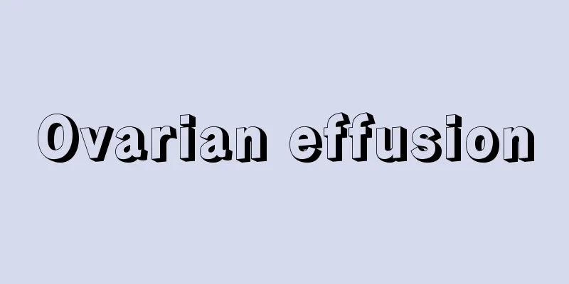 Ovarian effusion