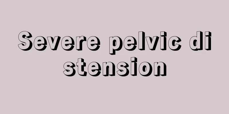 Severe pelvic distension