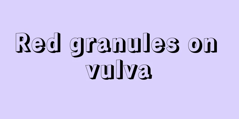 Red granules on vulva