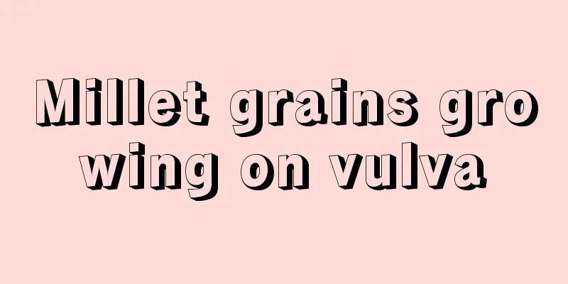 Millet grains growing on vulva