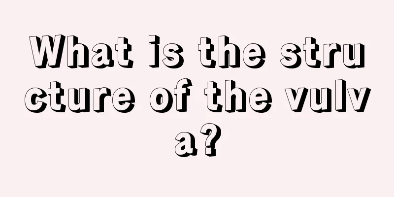 What is the structure of the vulva?