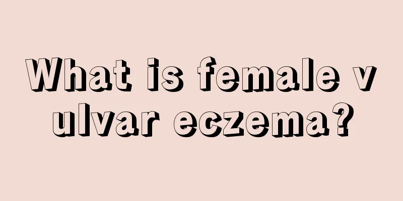 What is female vulvar eczema?