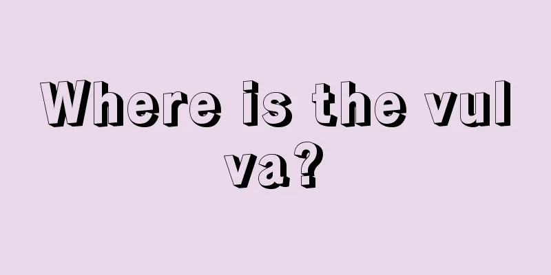 Where is the vulva?