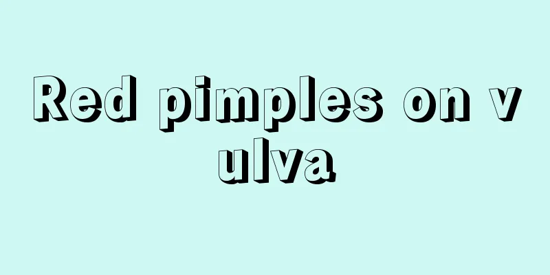 Red pimples on vulva