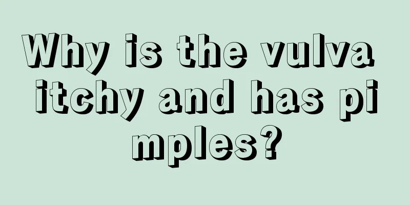 Why is the vulva itchy and has pimples?