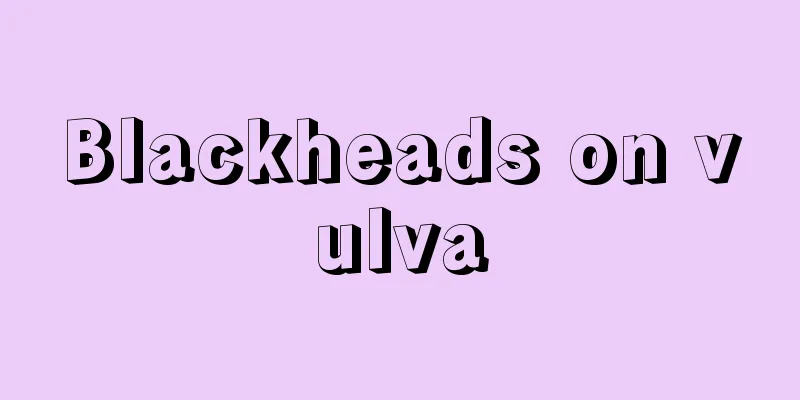 Blackheads on vulva