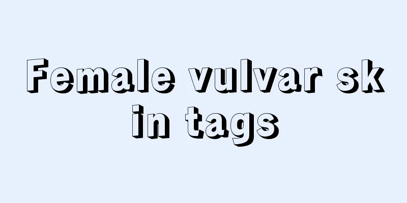 Female vulvar skin tags