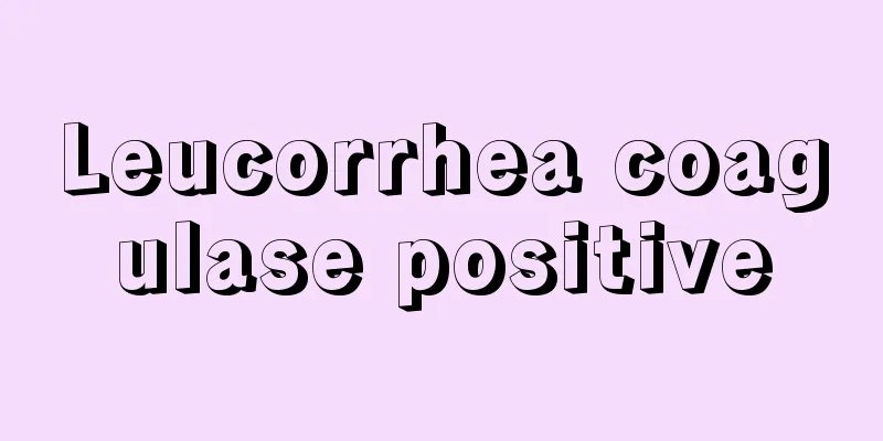 Leucorrhea coagulase positive