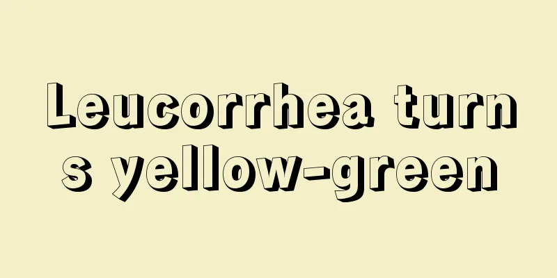 Leucorrhea turns yellow-green