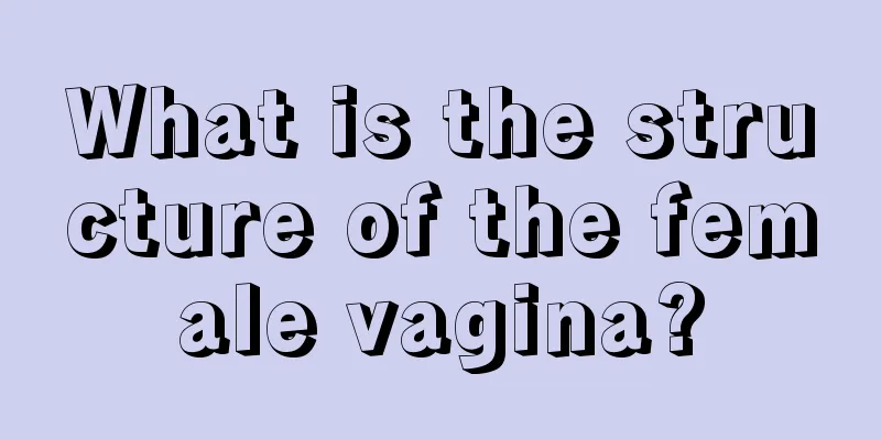 What is the structure of the female vagina?