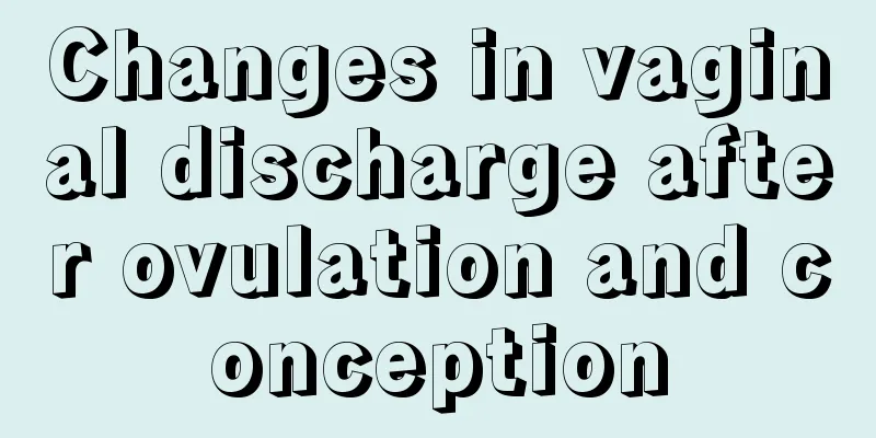 Changes in vaginal discharge after ovulation and conception