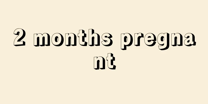 2 months pregnant