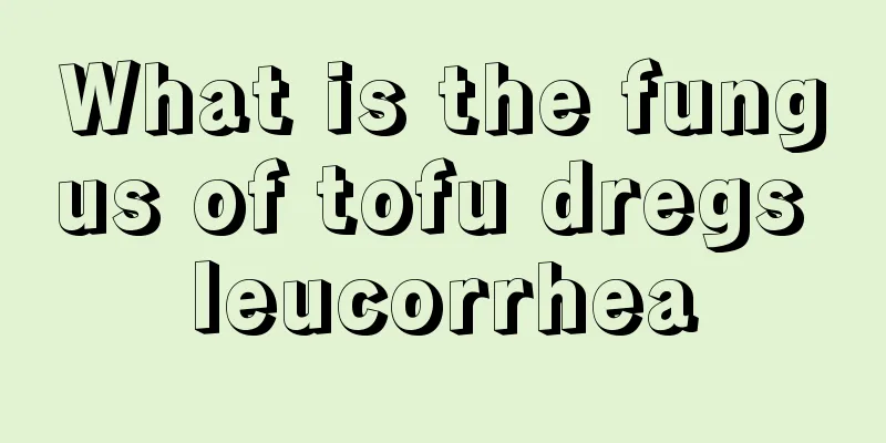 What is the fungus of tofu dregs leucorrhea