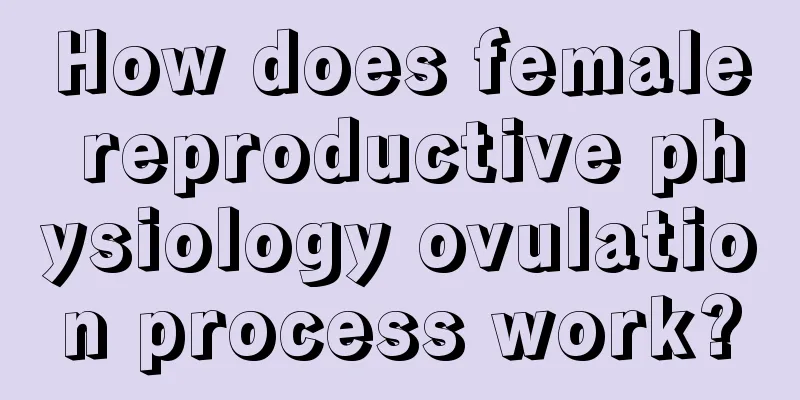 How does female reproductive physiology ovulation process work?