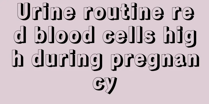 Urine routine red blood cells high during pregnancy