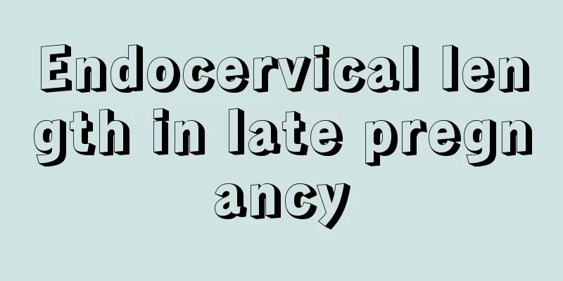 Endocervical length in late pregnancy