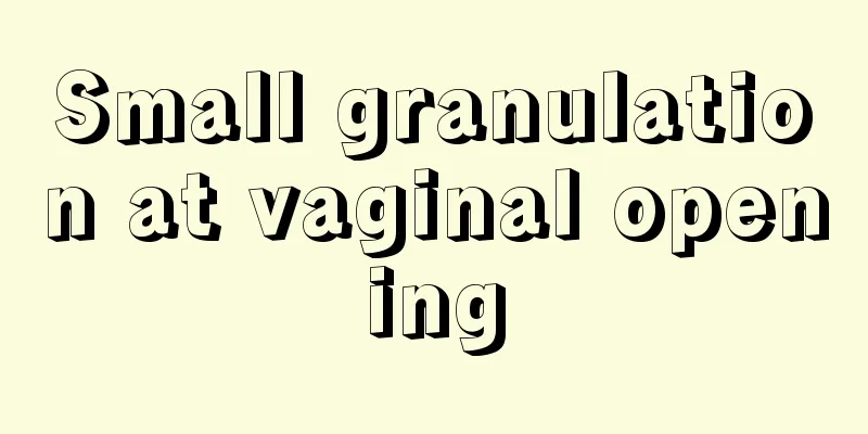 Small granulation at vaginal opening