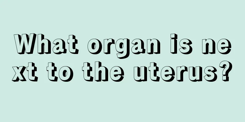 What organ is next to the uterus?