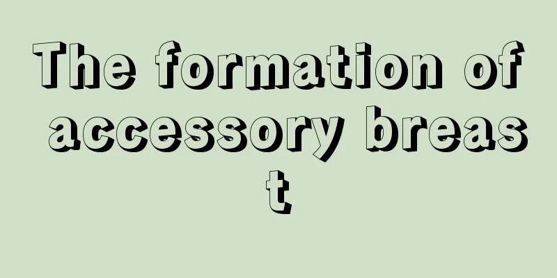 The formation of accessory breast