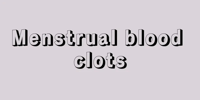 Menstrual blood clots