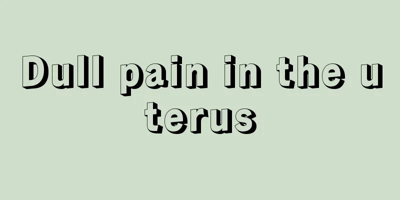 Dull pain in the uterus