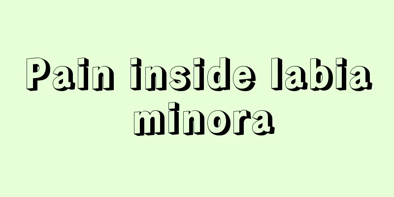 Pain inside labia minora