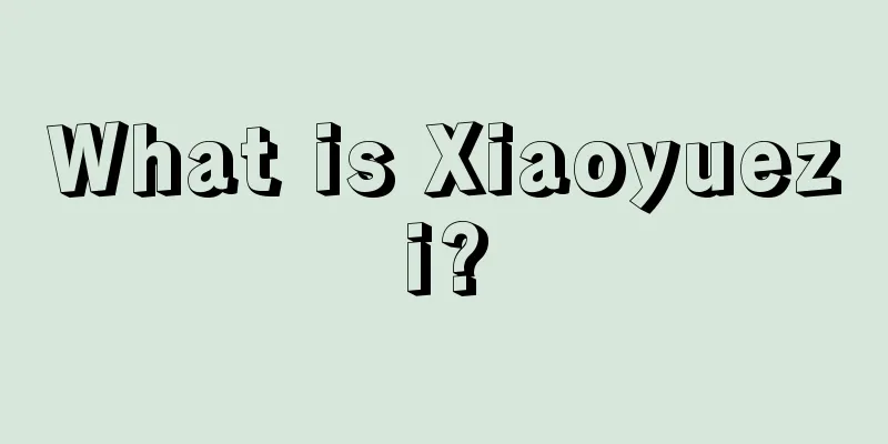 What is Xiaoyuezi?