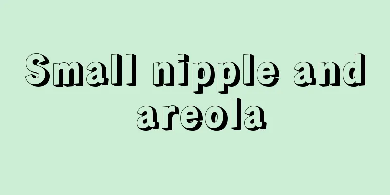 Small nipple and areola