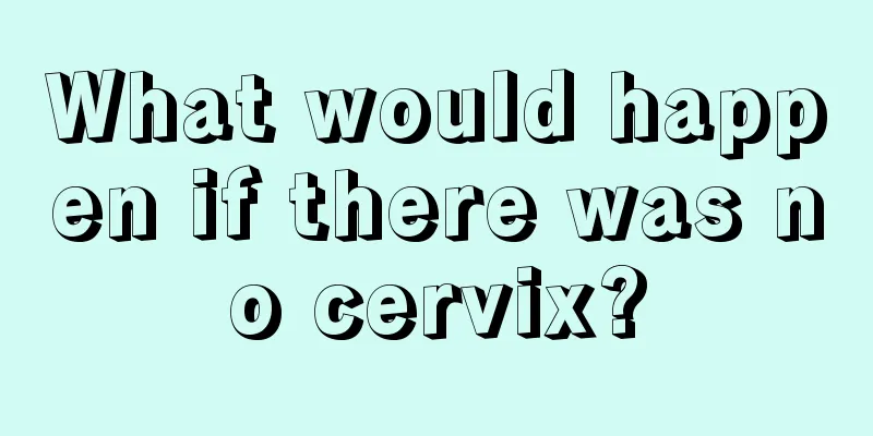 What would happen if there was no cervix?