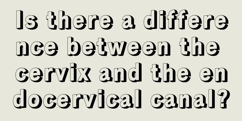 Is there a difference between the cervix and the endocervical canal?