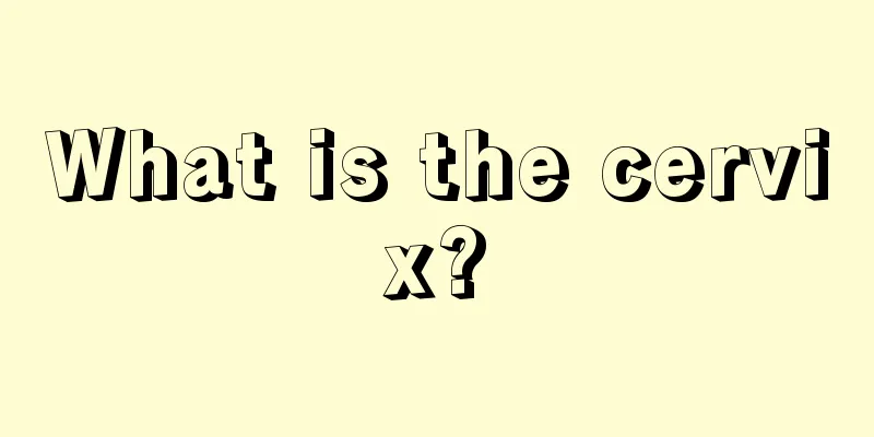 What is the cervix?