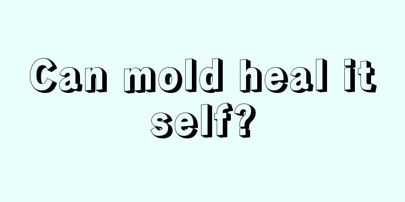 Can mold heal itself?