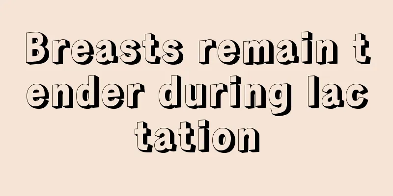 Breasts remain tender during lactation